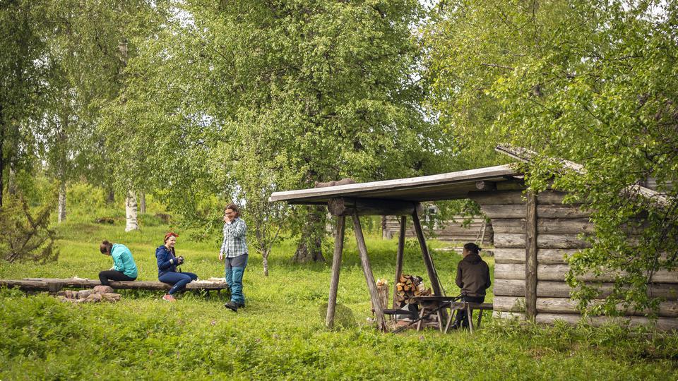 Personer som grillar och äter korv i och utanför en slogbod i Skärklitts fäbodar en grönskande sommardag.