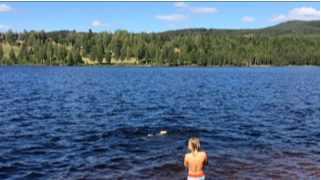 Vy över Nässjön, blått vatten med berg och några hus på andra sidan sjön
