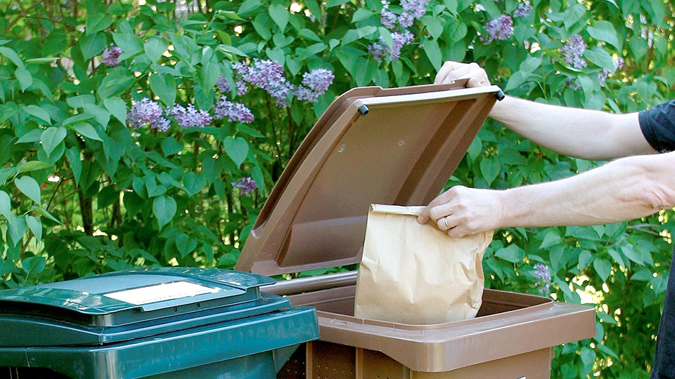En person som lägger en kompostpåse i ett avfallskärl